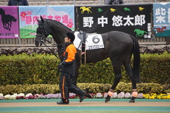 20200216 東京6R 3歳1勝クラス コウソクスピード 09