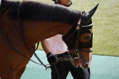 20191027 東京4R 2歳牝馬メイクデビュー フェルハール 06