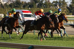 20200202 東京10R 早春S (3勝クラス) オウケンブラック 15