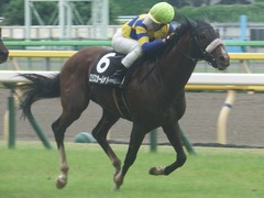 20190622 東京10R 八ヶ岳特別(2勝) ロジスカーレット 19