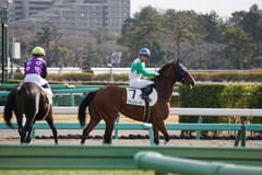 20191215 中山4R 2歳未勝利 アルソリート 18