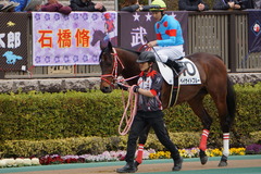 20200215 東京4R 3歳1勝クラス ベイサイドブルー 10