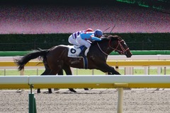 20191026 東京3R 2歳未勝利 ベイサイドブルー 17