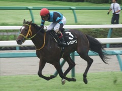 20190922 中山8R 芙蓉S 2歳OP ルトロヴァイユ 21