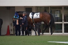 20200112 中山12R 4歳上3勝クラス アドマイヤシナイ 08