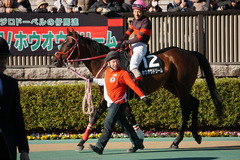 20200202 東京10R 早春S (3勝クラス) ホウオウドリーム 18