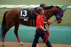 20191124 東京10R ウェルカムS (3勝) アドマイヤスコール 08