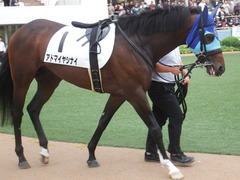 20190921 中山12R 3歳上2勝クラス 07