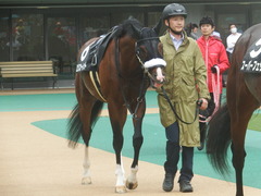 20190622 東京10R 八ヶ岳特別(2勝) ロジスカーレット 16