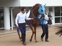 20190908 中山7R 3歳上1勝クラス ヴァルドワーズ 02