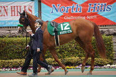 20200215 東京11R クイーンC(G3) 3歳牝馬OP ホウオウピースフル 03