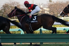 20200111 中山11R 迎春S (3勝クラス) ホウオウドリーム 27