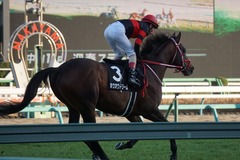 20200111 中山11R 迎春S (3勝クラス) ホウオウドリーム 26