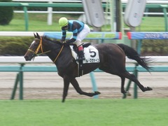 20190908 中山2R 2歳未勝利 ルトロヴァイユ 20