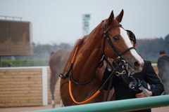 20191207 中山12R 3歳上2勝クラス クラサーヴィツァ 24