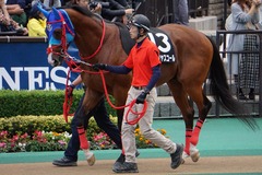 20191124 東京10R ウェルカムS (3勝) アドマイヤスコール 05