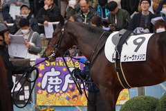 20191222 中山2R 2歳未勝利 ヴィーヴァメジロ 12