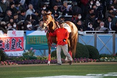 中山12R 4歳上2勝クラス オトナノジジョウ 02