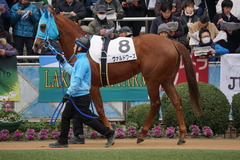 20200126 中山7R (1勝クラス) ヴァルドワーズ 08