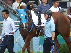 20190908 中山7R 3歳上1勝クラス ヴァルドワーズ 08