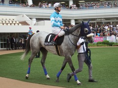 20190921 中山9R 九十九里特別 2勝 ウェディングベール 11