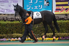 20200216 東京6R 3歳1勝クラス コウソクスピード 06