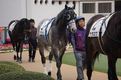 20191222 中山7R 3歳上1勝クラス ロークアルルージュ 05