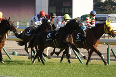 20200202 東京10R 早春S (3勝クラス) ミッキーバード 21