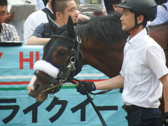 20190601 東京10R 由比ヶ浜特別 3歳上2勝 ロジスカーレット 12