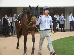 20190922 中山8R 芙蓉S 2歳OP ルトロヴァイユ 09