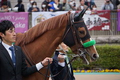 20200215 東京11R クイーンC(G3) 3歳牝馬OP ホウオウピースフル 04