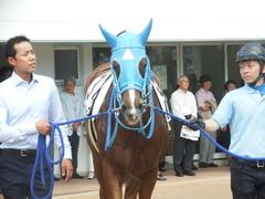 20190908 中山7R 3歳上1勝クラス ヴァルドワーズ 14