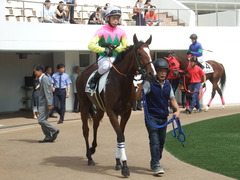 20190908 中山7R 3歳上1勝クラス ミヤコローズ 14
