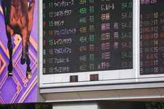 20191027 東京4R 2歳牝馬メイクデビュー フェルハール 01