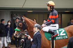 20200215 東京11R クイーンC(G3) 3歳牝馬OP ホウオウピースフル 17