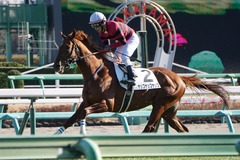 20200105 中山7R 4歳上1勝クラス ヤップヤップヤップ 17
