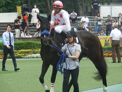 20190608 東京9R 八丈島特別 1勝 ミッキーバード 17