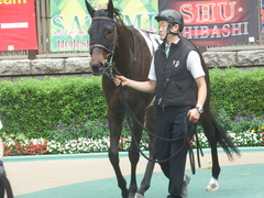 20190608 東京6R 3歳牝馬未勝利 ホウオウヒミコ 06