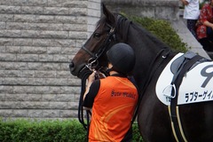 20191026 東京12R 3歳上1勝クラス ラプターゲイル 13