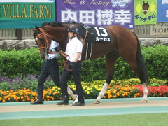 20190608 東京11R 多摩川S 3勝 ルーカス 03