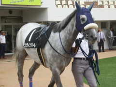 20190921 中山9R 九十九里特別 2勝 ウェディングベール 04