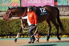 20200202 東京10R 早春S (3勝クラス) ホウオウドリーム 12
