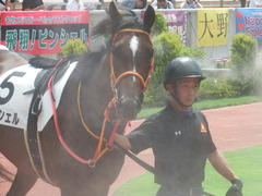 20190810 新潟7R 3歳上1勝クラス ピンシェル 06