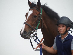 20190908 中山7R 3歳上1勝クラス ミヤコローズ 12