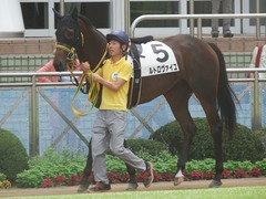 20190908 中山2R 2歳未勝利 ルトロヴァイユ 03