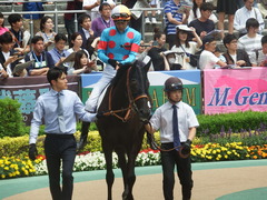 20190601 東京6R 3歳未勝利 マルニ 15