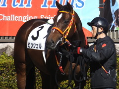 20200209 東京7R 4歳上1勝クラス ピンシェル 13