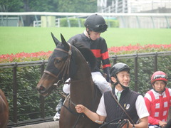 20190608 東京6R 3歳牝馬未勝利 ホウオウヒミコ 15