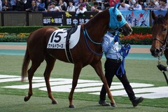 20191027 東京7R 3歳上1勝クラス ヴァルドワーズ 12