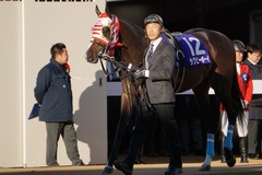 20191228 中山11R ホープフルS(G1) ラグビーボーイ 14